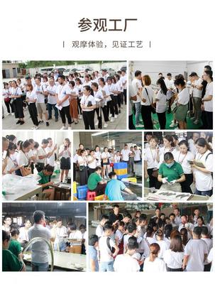 蛻變季 米蘇燈飾M6+超級盈利系統第六期特訓營順利閉營，文化經紀人服務賦能行業新生態